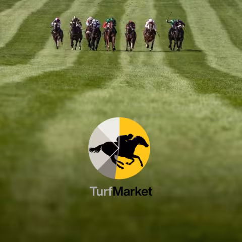 TurfMarket