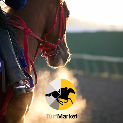 TurfMarket